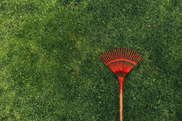 istock Red rake on a green lawn. 1220359855