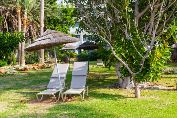 istock Sun lounger with umbrella at the hotel. 1220360188