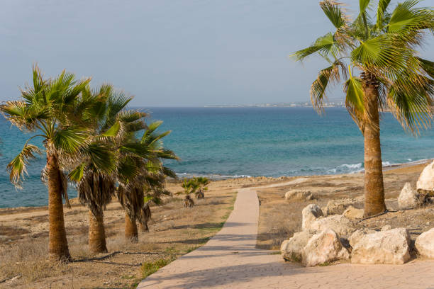 istock Walking road in Cyprus along the sea. 1220360237