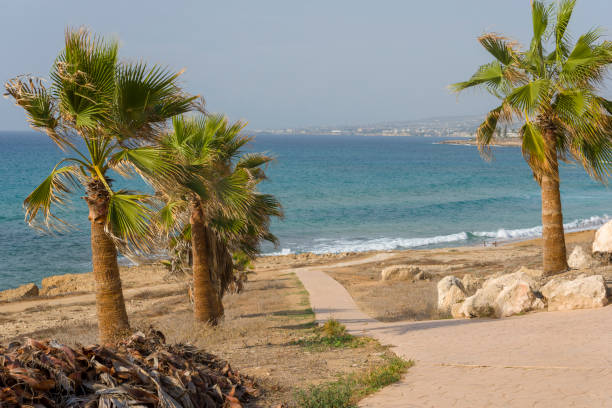 istock Walking road in Cyprus along the sea. 1220360238