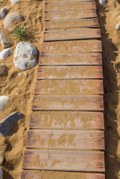 istock Wooden path on the sand to the sea. 1220360241