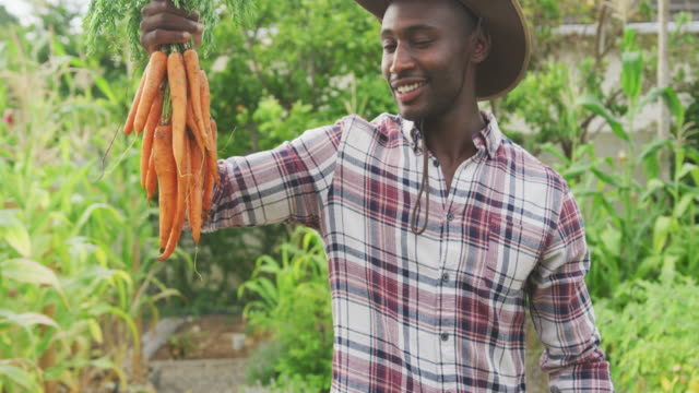 African American man showing carrots at the camera