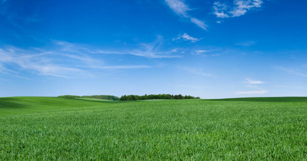istock Panoramic spring landscape XXXXL 88 MPix - green field, blue sky 1220361640