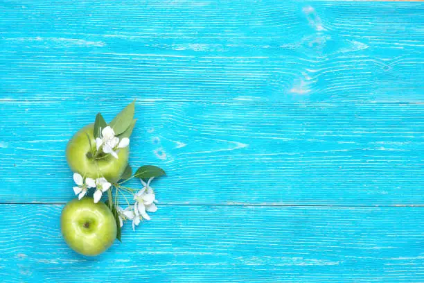 two green apples and white flowers on turquoise wooden background with copy space