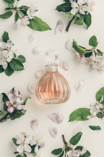 istock Beautiful perfume bottles and spring flowers on off white background 1220363892