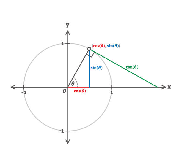 ilustrações, clipart, desenhos animados e ícones de diagrama de exemplo trigonometria cosino, sino e tangente - cosinus