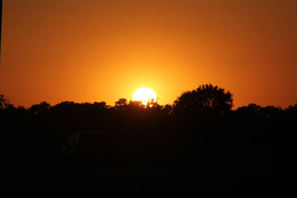 Sunset over the city trees