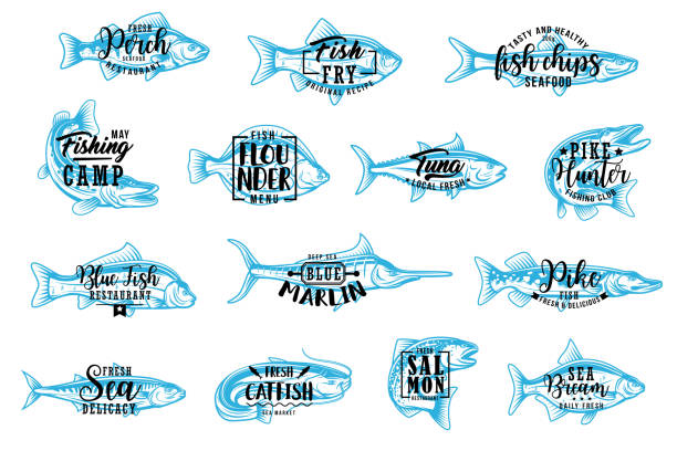 ilustraciones, imágenes clip art, dibujos animados e iconos de stock de iconos de letras de mariscos y deportes de pesca - fish prepared fish fishing bass