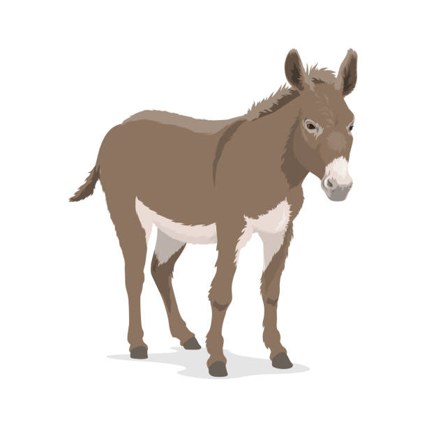 ilustraciones, imágenes clip art, dibujos animados e iconos de stock de burro, mula o, animal de granja, bestia de carga - donkey mule ass lake