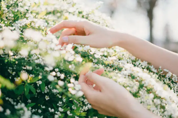 Photo of Woman reaching out for flowers