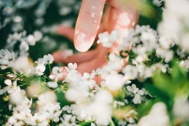 Woman reaching out for flowers