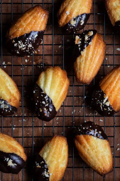 Madeleine sponge cookies in chocolate icing and coconut crumbs