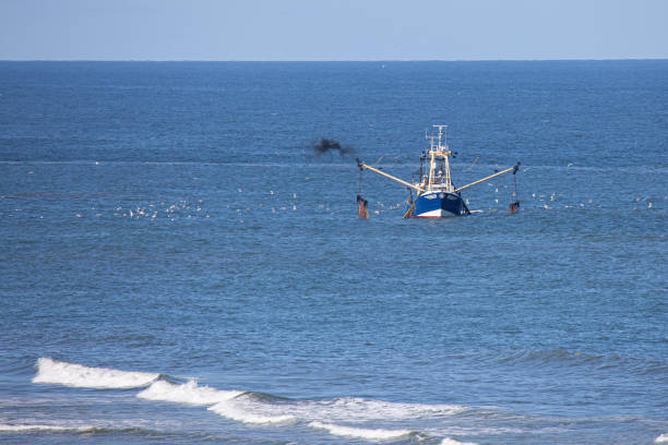 istock a shrimp cutter on the north sea 1220377123
