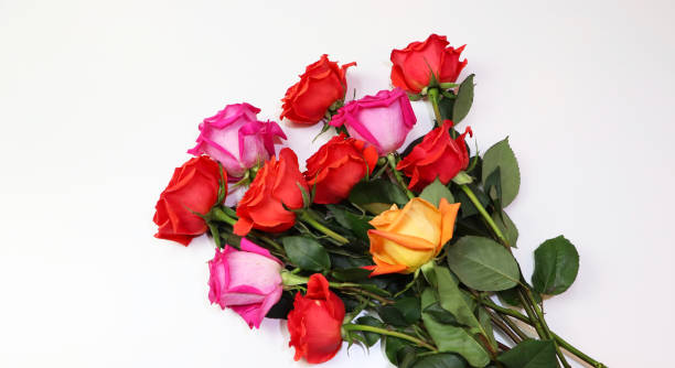 istock Eleven beautiful roses multi-colored on the light pastel background 1220377124