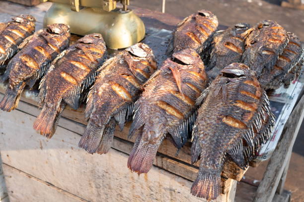 Fried Tilapia at a market in Kampala, Uganda. stock photo