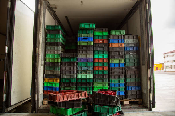 Truck loading. Plastic boxes with ripe berries are loaded into the refrigerator.