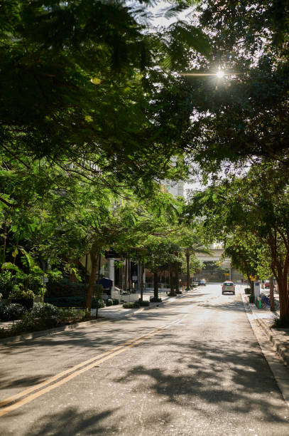 istock Empty city road with light shining through the trees 1220379579