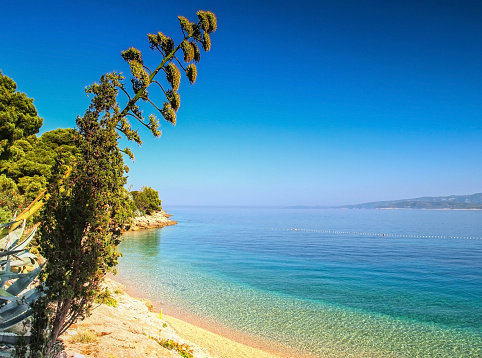 Abstract from a beautiful beach, Murvica, Bol, Brac island, Dalmatia, Croatia. Famous summer resort.