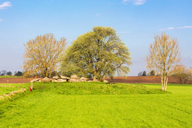 istock Passage grave in a rural landscape 1220381608