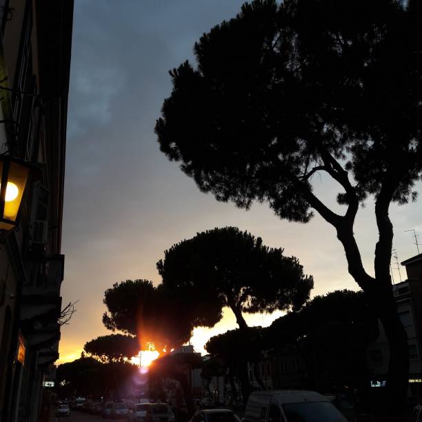 istock View from the streets of Italian cities. 1220381731