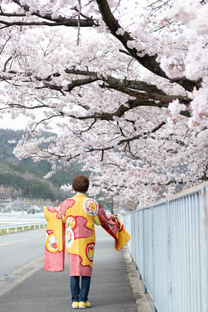 istock Japanese woman enjoying cherry blossom 1220383331