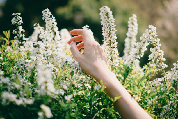 istock Woman reaching out for flowers 1220383464
