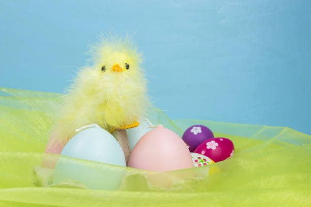 istock yellow chick with box of easter egg candles 1220383915