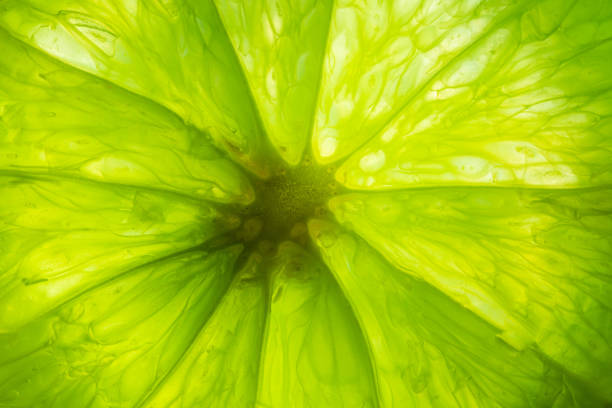 istock Background of fresh juicy lemon texture. Macro 1220385490