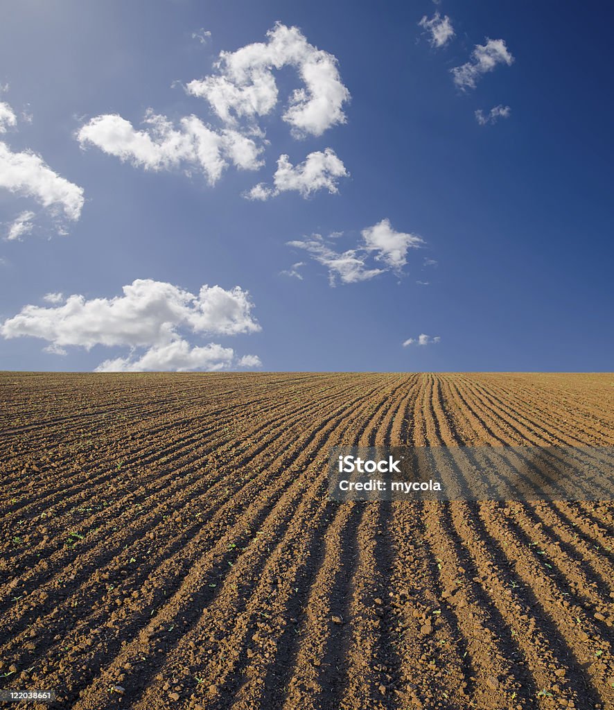 Campo preto - Royalty-free Agricultura Foto de stock