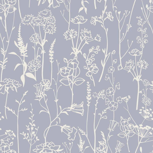 초원 허브와 식물 식물 원활한 패턴. 윤곽선 도면. - wallpaper pattern floral pattern seamless abstract stock illustrations