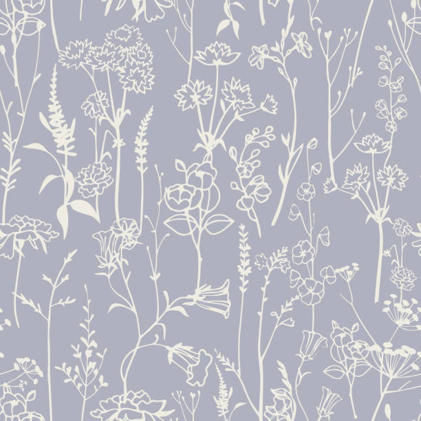 Botanical seamless pattern with meadow herbs and plants. Outline drawing. Botanical seamless pattern. Meadow herbs, plants, flowers. Line outline graphic drawing. Elegant floral silhouettes. Herbarium style ornament. flower background stock illustrations