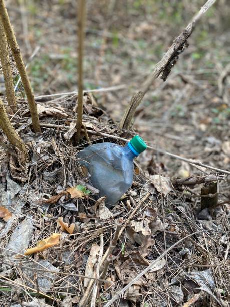 istock An old plastic bottle in the woods 1220391125
