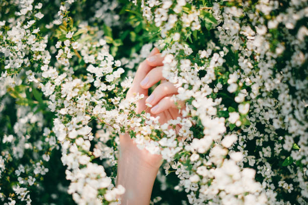 istock Woman reaching out for flowers 1220391403