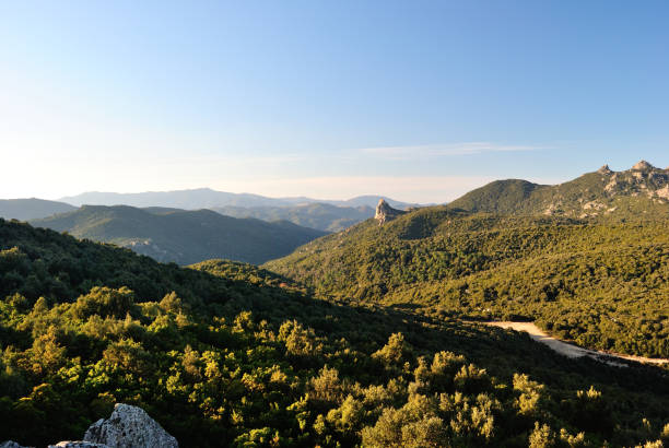 istock Panorama from nuraghe Su Crabiolu 1220394510