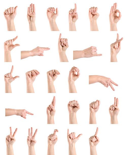 Hand sign language alphabet Hand sign language alphabet isolated on white american sign language photos stock pictures, royalty-free photos & images