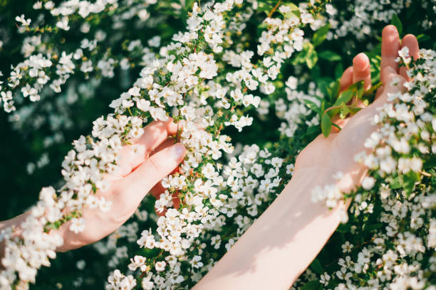 istock Woman reaching out for flowers 1220394856