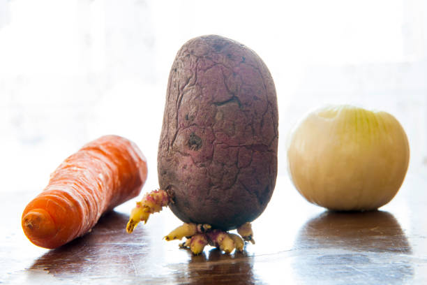 istock Potato, onion and carrot 1220394970