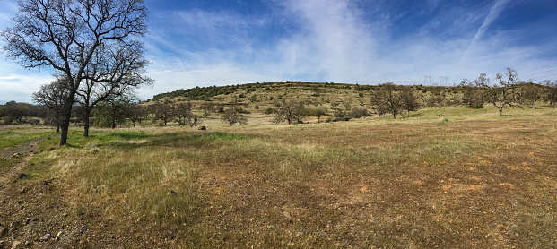 A scenic landscape along a hiking trail in Chico, California, with oak trees, grass, rocks, hill and blue sky with clouds.