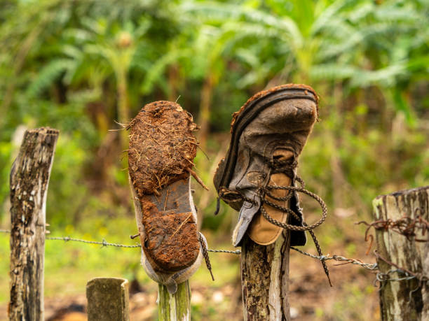 istock Dirty boots drying on fence posts in Maria la Gorda. 1220396236
