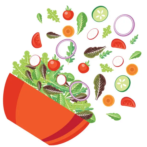 Vector illustration of Bright Red Bowl Filled With leafy Greens