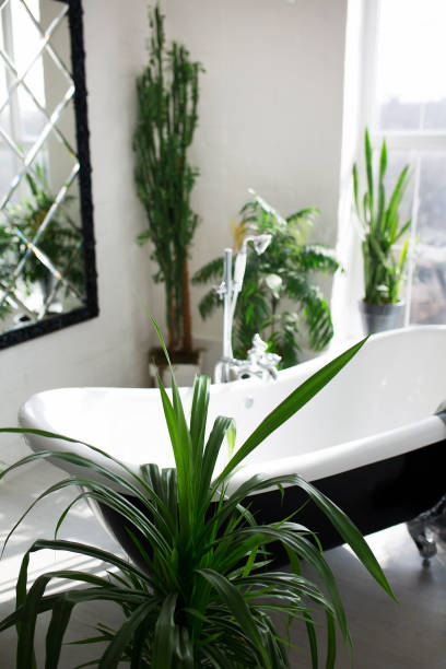 istock Exclusive modern black and white bathroom interior in luxury mansion with big window 1220398534