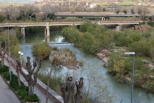 Benevento - April 2020: Sighting of a Nile Goose in the Calore river from via Lungocalore