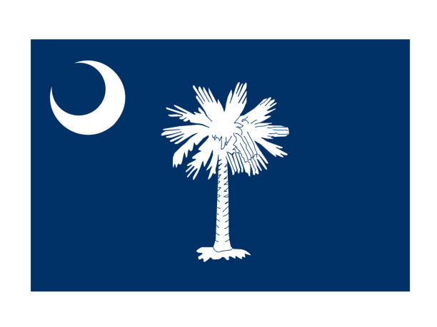 사우스캐롤라이나 국기 - south carolina flag interface icons symbol stock illustrations