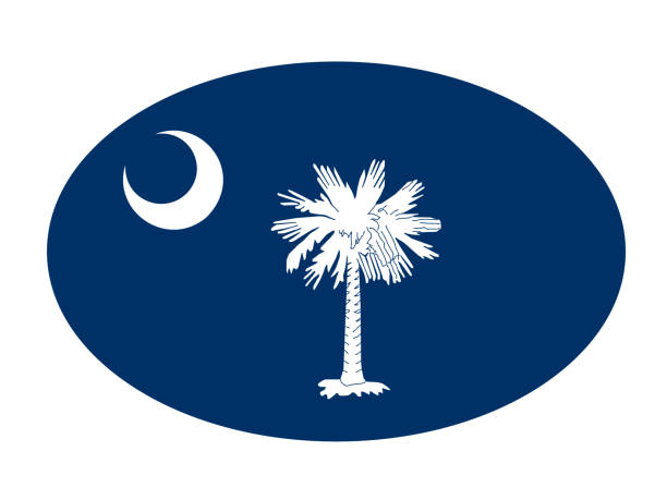 ilustraciones, imágenes clip art, dibujos animados e iconos de stock de bandera de carolina del sur - south carolina flag interface icons symbol
