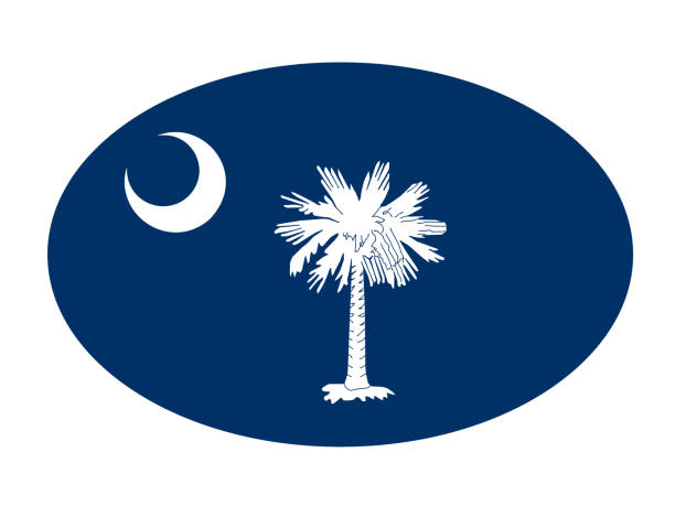 사우스캐롤라이나 국기 - south carolina flag interface icons symbol stock illustrations