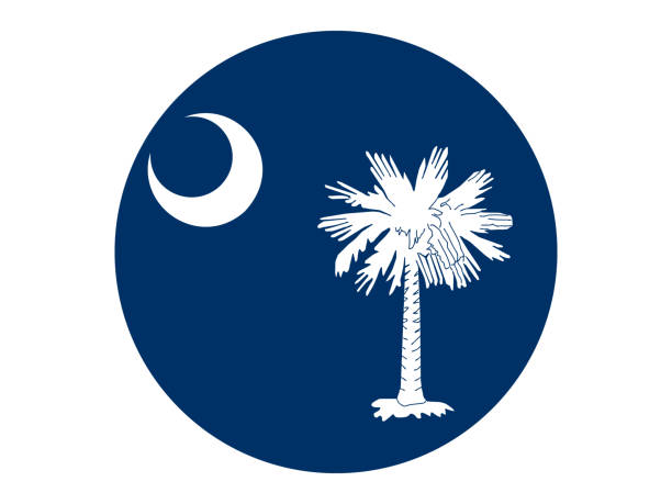 флаг южной каролины - south carolina flag interface icons symbol stock illustrations