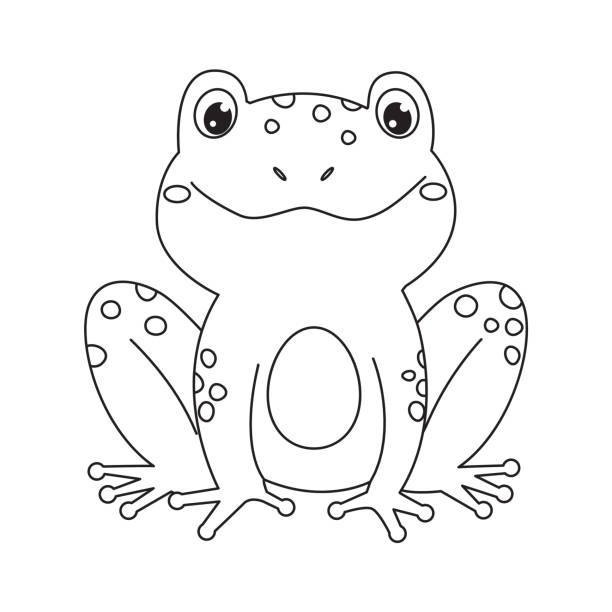 65 Printable Frog Drawing Illustrations & Clip Art - iStock