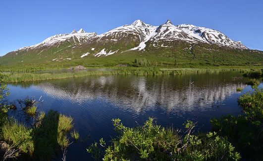 Huge beaver pond reflecting in the Chugach Mountains in Alaska.