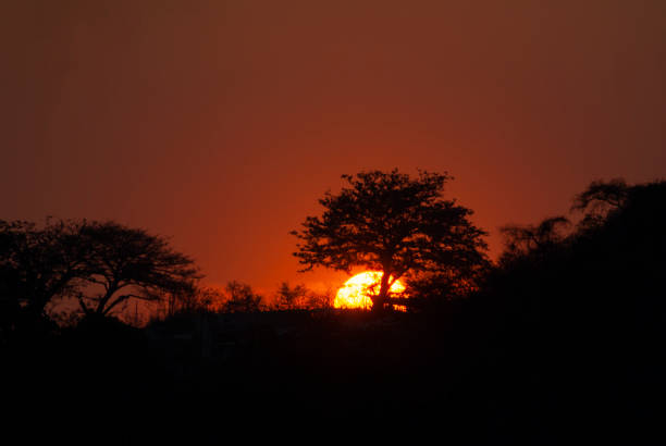istock Setting the Sun at dusk from Guatemala City, silhouetted by mountains and trees, peaceful dusk in the middle of the Covid 19 pandemic Central America. 1220407635