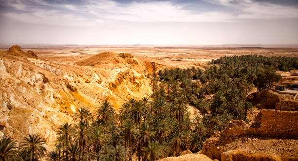 istock Mountain oasis Chebika, Sahara desert, Tunisia, Africa 1220408651